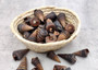 Telescope Snail Seashells Dark Brown Telescopium Telescopium (10 shells approx. 1+ inches) Brown Telescope Shells for crafting & collecting! Copyright 2026 SeaShellSupply.com.