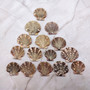 Flat Pixie Scallop Seashells Gold Tint Brown Black Pecten (58 shells approx. 0.75+ inches) Flat Pixie Scallop Shells for jewelry & crafts!