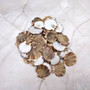 Flat Pixie Scallop Seashells Gold Tint Brown Black Pecten (58 shells approx. 0.75+ inches) Flat Pixie Scallop Shells for jewelry & crafts! Copyright 2025 SeaShellSupply.com.