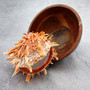 Orange Purple Spiny Oyster Pair Spondylus Barbatus (1 shell pair approx 6X4X3 inches) B GRADE Colorful natural coastal décor for display! Copyright 2026 SeaShellSupply.com.
