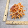 Orange Purple Spiny Oyster Pair Spondylus Barbatus (1 shell pair approx. 5X4X3 inches) B GRADE Natural seashell pair for nautical display! Copyright 2026 SeaShellSupply.com.