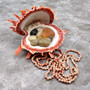 Red Purple Spiny Oyster Pair Spondylus Barbatus (1 shell pair approx. 4X3X2 inches) B GRADE Natural seashell pair for nautical display!