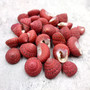 Strawberry Top Red Seashells Clanculus Puniceus (5 shells approx. 0.5+ inches) Small Red Natural Strawberry Top Shells for arts & crafts!