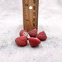 Strawberry Top Red Seashells Clanculus Puniceus (5 shells approx. 0.5+ inches) Small Red Natural Strawberry Top Shells for arts & crafts! Copyright 2026 SeaShellSupply.com.