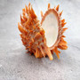 Orange Purple Spiny Oyster Pair Spondylus Barbatus (1 shell pair approx. 4X4X3 inches) B GRADE Natural seashell pair for nautical display! Copyright 2026 SeaShellSupply.com.