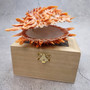 Orange Purple Spiny Oyster Pair Spondylus Barbatus (1 shell pair approx. 4X4X3 inches) B GRADE Natural seashell pair for nautical display! Copyright 2026 SeaShellSupply.com.