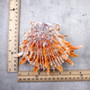 Orange Purple Spiny Oyster Pair Spondylus Barbatus (1 shell pair approx. 4X4X2 inches) B GRADE Colorful seashell pair for nautical decor! Copyright 2026 SeaShellSupply.com.