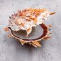 Orange Purple Spiny Oyster Pair Spondylus Barbatus (1 shell pair approx. 4X4X2 inches) B GRADE Colorful seashell pair for nautical decor! Copyright 2026 SeaShellSupply.com.