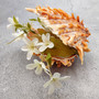Orange Purple Spiny Oyster Pair Spondylus Barbatus (1 shell pair approx. 4X3X2 inches) B GRADE Colorful seashell pair for nautical decor!