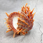 Orange Purple Spiny Oyster Pair Spondylus Barbatus (1 shell pair approx. 3X3X2 inches) B GRADE Colorful seashell pair for nautical decor! 11