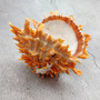 Orange Purple Spiny Oyster Pair Spondylus Barbatus (1 shell pair approx. 4X4X3 inches) B GRADE Colorful seashell pair for nautical decor! 12