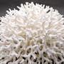 White Birdsnest Coral Cluster Seriatopora Hystrix (1 coral approx. 10L x 8W x 5H inches) White Coral Centerpiece for decor & display! Copyright 2026 SeaShellSupply.com.