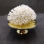 White Birdsnest Coral Cluster Seriatopora Hystrix (1 coral approx. 10L x 8W x 5H inches) White Coral Centerpiece for decor & display! Copyright 2026 SeaShellSupply.com.