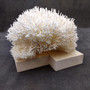 White Birdsnest Coral Cluster Seriatopora Hystrix (1 coral approx. 11L x 8.5W x 6.5H inches) White Coral Centerpiece for decor & display!
