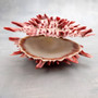 Red Purple Spiny Oyster Pair Spondylus Barbatus (1 shell pair approx. 4X3X2 inches) B GRADE Natural Spiny Oyster shell for decor & display! Copyright 2026 SeaShellSupply.com.