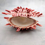 Red Purple Spiny Oyster Pair Spondylus Barbatus (1 shell pair approx. 4X3X2 inches) B GRADE Natural Spiny Oyster shell for decor & display!