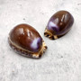 Purple Top Brown Arabian Cowrie Seashells Cypraea Arabica (2 shells approx. 2.25+ inches) Purple Top Arabian Cowrie Shells for home décor!