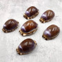 Purple Top Brown Arabian Cowrie Seashells Cypraea Arabica (2 shells approx. 2.25+ inches) Purple Top Arabian Cowrie Shells for home décor! Copyright 2026 SeaShellSupply.com.