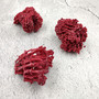 Light Red Pipe Organ Coral Fragment Tubipora Musica (2 corals approx. 1+ inches) B GRADE Reddish Coral Chunk Piece for crafts & decoration!