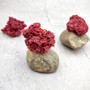 Light Red Pipe Organ Coral Fragment Tubipora Musica (2 corals approx. 1+ inches) B GRADE Reddish Coral Chunk Piece for crafts & decoration!