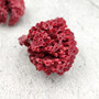 Light Red Pipe Organ Coral Fragment Tubipora Musica (2 corals approx. 1+ inches) B GRADE Reddish Coral Chunk Piece for crafts & decoration!