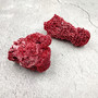 Light Red Pipe Organ Coral Fragment Tubipora Musica (2 corals approx. 1+ inches) B GRADE Reddish Coral Chunk Piece for crafts & decoration!
