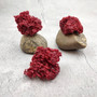 Light Red Pipe Organ Coral Fragment Tubipora Musica (2 corals approx. 1+ inches) B GRADE Reddish Coral Chunk Piece for crafts & decoration! Copyright 2026 SeaShellSupply.com.
