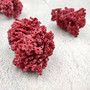 Light Red Pipe Organ Coral Fragment Tubipora Musica (2 corals approx. 1+ inches) B GRADE Reddish Coral Chunk Piece for crafts & decoration! Copyright 2026 SeaShellSupply.com.