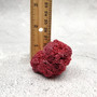 Light Red Pipe Organ Coral Fragment Tubipora Musica (2 corals approx. 1+ inches) B GRADE Reddish Coral Chunk Piece for crafts & decoration! Copyright 2026 SeaShellSupply.com.