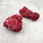 Light Red Pipe Organ Coral Fragment Tubipora Musica (2 corals approx. 1+ inches) B GRADE Reddish Coral Chunk Piece for crafts & decoration! Copyright 2026 SeaShellSupply.com.
