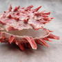 Red Purple Spiny Oyster Pair Spondylus Barbatus (1 shell pair approx. 3X3X2 inches) B GRADE Natural Spiny Oyster shell for decor & display! Copyright 2026 SeaShellSupply.com.
