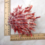 Red Purple Spiny Oyster Pair Spondylus Barbatus (1 shell pair approx. 4X4X2 inches) B GRADE Natural Spiny Oyster shell for decor & display! -10