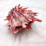 Red Purple Spiny Oyster Pair Spondylus Barbatus (1 shell pair approx. 4X4X2 inches) B GRADE Natural Spiny Oyster shell for decor & display! -10
