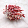 Red Purple Spiny Oyster Pair Spondylus Barbatus (1 shell pair approx. 4X4X2 inches) B GRADE Natural Spiny Oyster shell for decor & display! -10