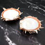 Orange Purple Spiny Oyster Pair Spondylus Barbatus (1 shell pair approx. 4X4X3 inches) B GRADE Colorful seashell pair for nautical decor!