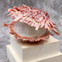 Red Purple Spiny Oyster Pair Spondylus Barbatus (1 shell pair approx. 4X4X2 inches) B GRADE Natural Spiny Oyster shell for decor & display!