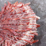Red Purple Spiny Oyster Pair Spondylus Barbatus (1 shell pair approx. 4X4X2 inches) B GRADE Natural Spiny Oyster shell for decor & display! Copyright 2026 SeaShellSupply.com.