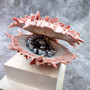 Red Purple Spiny Oyster Pair Spondylus Barbatus (1 shell pair approx. 4X4X2 inches) B GRADE Natural Oyster shell for decor & display! -12
