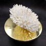 White Table Coral Cluster Large Centerpiece (1 coral 9L x 4.5H x 7D inches) Large White Table Coral for coastal home display & decor! Copyright 2026 SeaShellSupply.com.