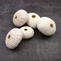 Assorted Color Sea Urchins Echinometra Mathaei (5 urchins approx. 1+ inches) Natural Pink Green White Urchin Shell for display & collecting! Copyright 2026 SeaShellSupply.com.\n