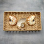 Natural Nautilus Seashell Half Nautilus Pompilius (1 shell approx. 3+ inches) B GRADE Sliced Nautilus Shells for display decor & collecting!