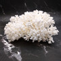 White Lace Coral Large Cluster Pocillopora Damicornis (1 coral approx. 9.5L x 6H X 8D inches) Unique Addition to Any Nautical Display!