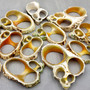 Sliced Center Cut Turbo Seashells Turbo Chrysostomus (12 shells approx. 1+ inches) Cut Turbo Shells for jewelry crafts & coastal displays!