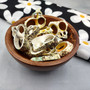 Sliced Center Cut Turbo Seashells Turbo Chrysostomus (12 shells approx. 1+ inches) Cut Turbo Shells for jewelry crafts & coastal displays!