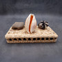 Golden Cowrie Seashell Callistocypraea aurantium (1 shell approx. 3.5+ inches) Gold Cowry Shell for display collecting & coastal decor! 01 Copyright 2026 SeaShellSupply.com.