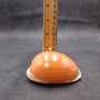 Golden Cowrie Seashell Callistocypraea aurantium (1 shell approx. 3.5+ inches) Gold Cowry Shell for display collecting & coastal decor! 01 Copyright 2026 SeaShellSupply.com.