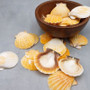 Orange Scallop Seashell Halves Noble Pecten Nobilis (approx. 20 shells 1.25+ inches) Orange Pecten Scallop shells for crafts & decor!