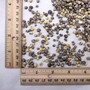 Tiny Geen Yellow Littorina Seashells (approx. half cup +/-1500 shells 0.125+ inches) Small Yellow Green Littorina Shells for arts & crafts! Copyright 2026 SeaShellSupply.com.