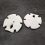 White Notched Arrowhead Sand Dollar Seashells Clypeaster subdepressus (2 sand dollars approx. 3+ inches) Arrowhead Sand Dollars for display! Copyright 2026 SeaShellSupply.com.
