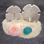 White Notched Arrowhead Sand Dollar Seashells Clypeaster subdepressus (2 sand dollars approx. 3+ inches) Arrowhead Sand Dollars for display! Copyright 2026 SeaShellSupply.com.